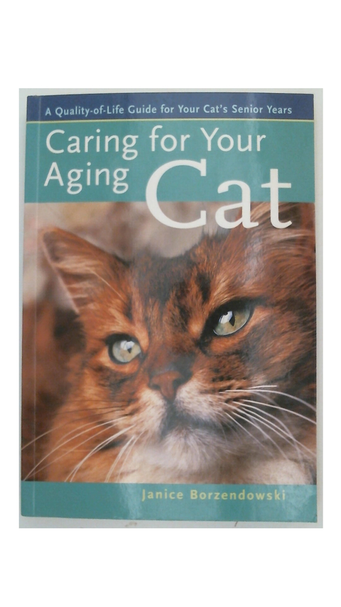 Caring for Your Aging Cat