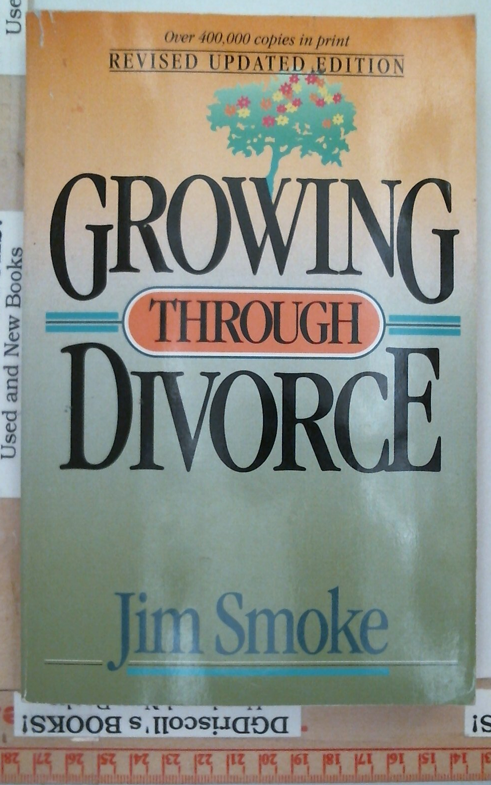 Growing Through Divorce 