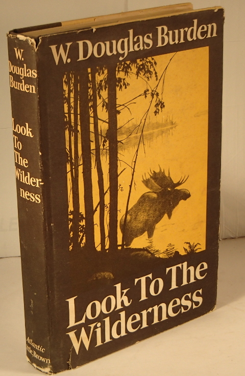 Look to the Wilderness