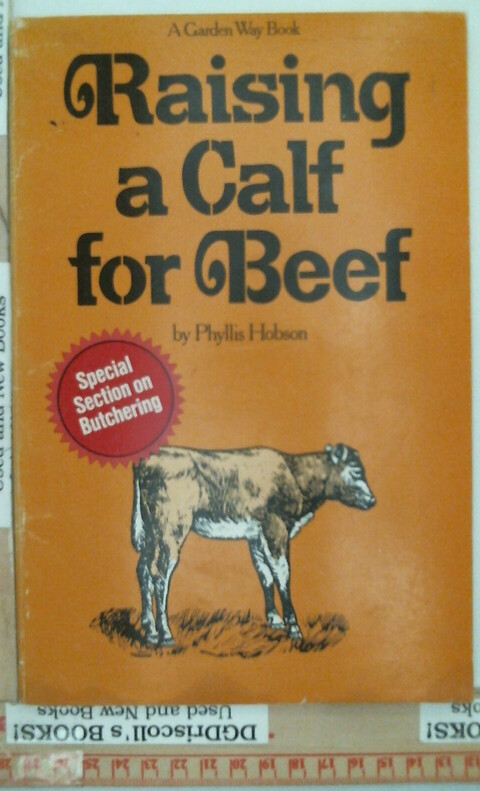 Raising a Calf for Beef