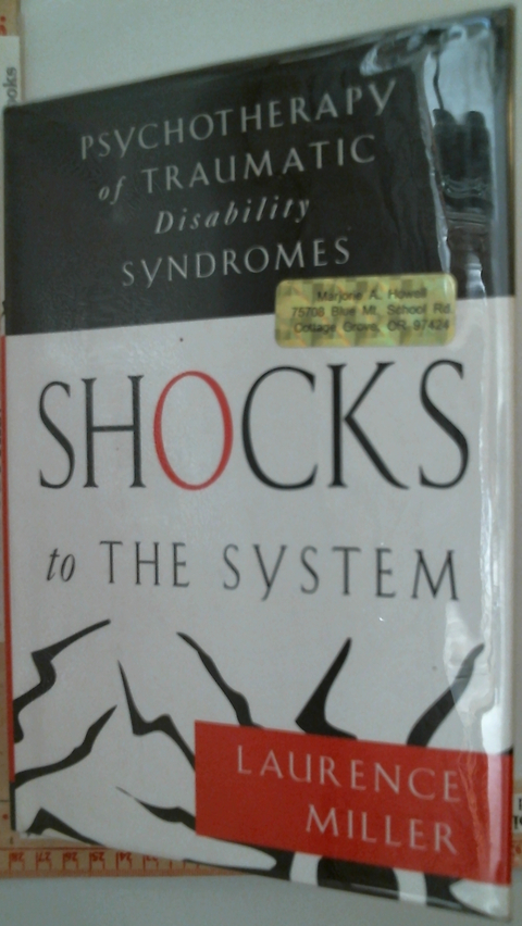 Shocks to the System