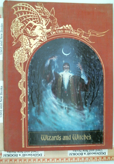 Wizards and Witches the Enchanted World