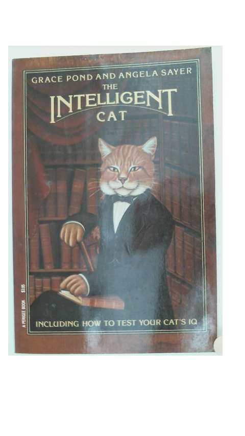 The Intelligent Cat