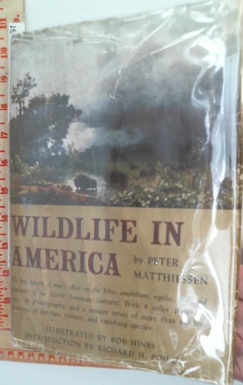 Wildlife in America